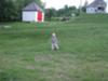 20030620-202254.jpg